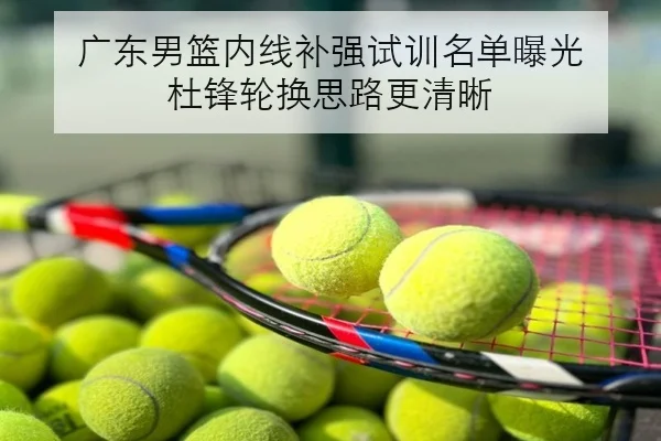 广东男篮内线补强试训名单曝光 杜锋轮换思路更清晰